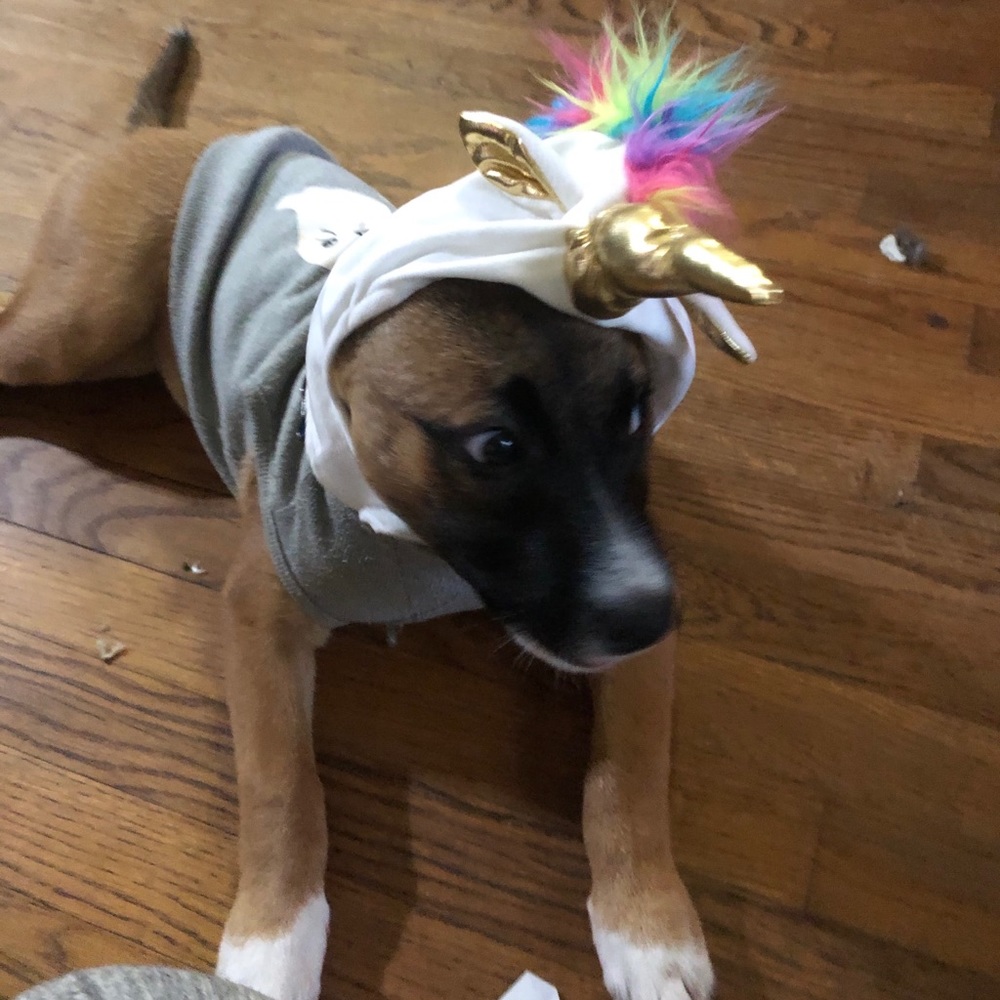 Unicorn Costume